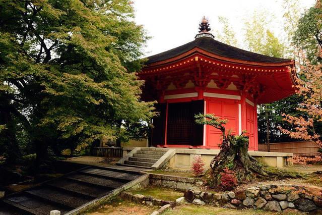 Art Stay In Tofukuji Kyoto Dış mekan fotoğraf