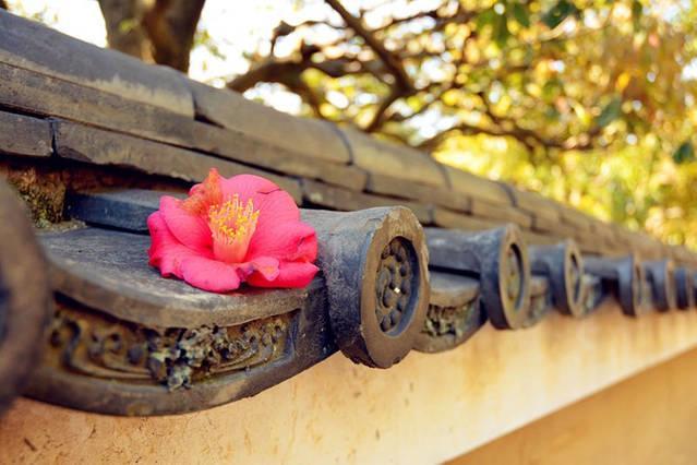 Art Stay In Tofukuji Kyoto Dış mekan fotoğraf